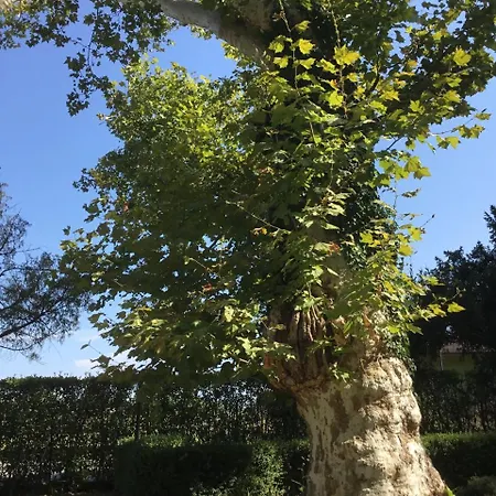 Rigatti 4* San Valentino (Friuli Venezia Giulia)