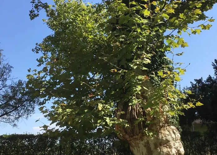 Rigatti 4* San Valentino (Friuli Venezia Giulia)